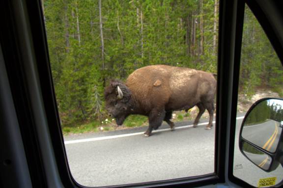 Description : C:\Users\maison\Pictures\Picasa\Exportations\Yellowstone\20120720-IMG_2396.jpg
