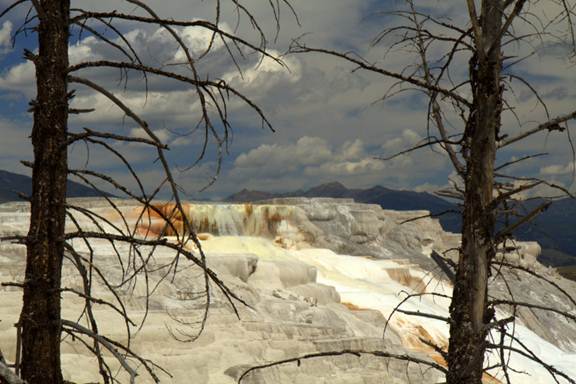Description : C:\Users\maison\Pictures\Picasa\Exportations\Yellowstone\20120723-IMG_2644.jpg