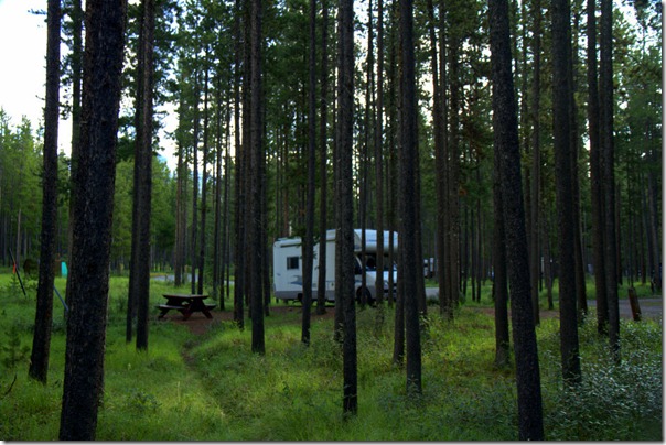 Qu'est ce que c'est ? Un camping-car qui joue a cache-cache dans les bois !