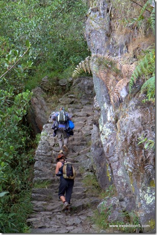Pas trop égales les marches !  Machu Picchu, Pérou.