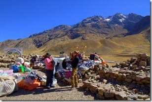 Ça négocie dur, Altiplano, Pérou.