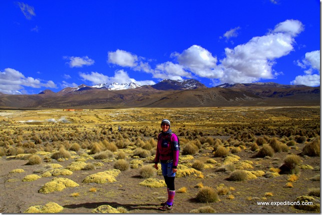 Mon petit lama d'amour .... (Sajama, Bolivie)