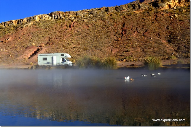 Les canards n'ont pas encore fait la connaissance de Mathéo, Jules et Clément, les duck-killers ...  (Ojo del Inca, Bolivie)