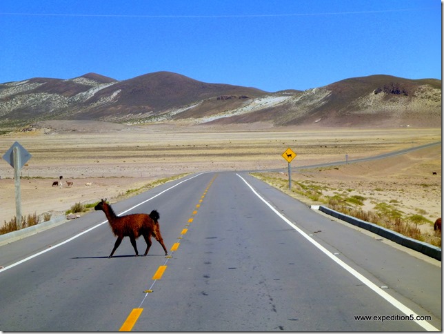 Tiens, pour une fois on arrive vraiment à voir le meme que sur les panneaux !  (Bolivie)