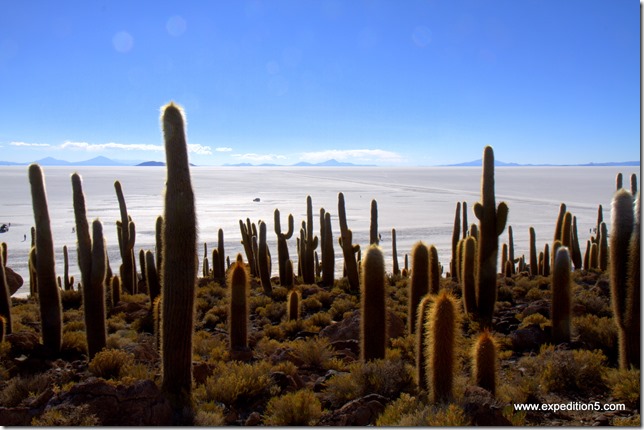 4x4 au milieu du Salar, Uyuni, Bolivie