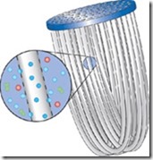 hollow-fiber-membrane
